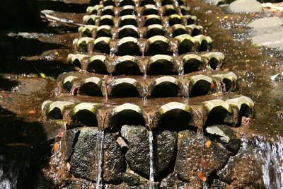 Scalloped Fountain