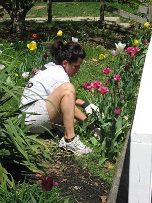 Garden Work