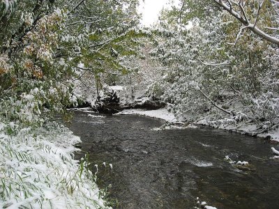 Boulder Creek on Saturday
