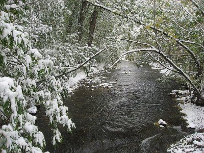 Boulder Creek on Saturday