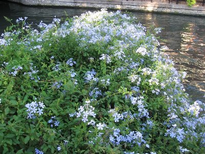 Riverwalk