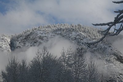 Yosemite Valley Winter Color