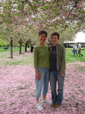 Amongst the Cherry Blossoms
