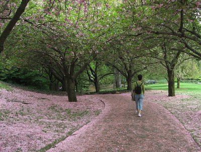 Walking