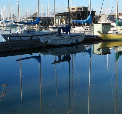 Reflections in still waters - mImg_2535vert.