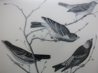 Close-up of Kindle 3's birds