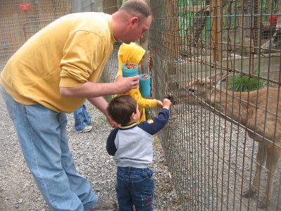 Daddy and Noah feeding the deer