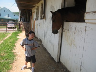 Kyle greeting the horses
