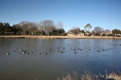 IMG_0019.jpg