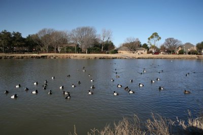 IMG_0023.jpg