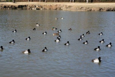 IMG_0027.jpg