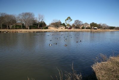 IMG_0031.jpg