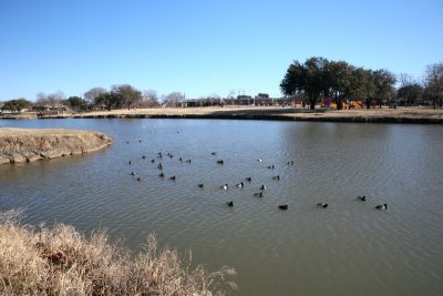 IMG_0045.jpg