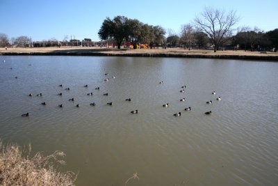 IMG_0050.jpg