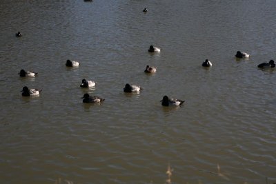 IMG_0053.jpg