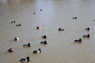 IMG_0057.jpg