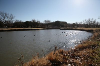IMG_0060.jpg