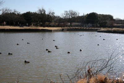 IMG_0064.jpg