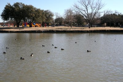 IMG_0068.jpg