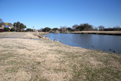IMG_0072.jpg