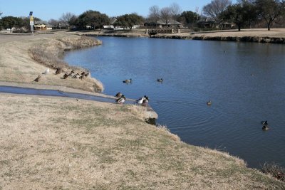 IMG_0081.jpg