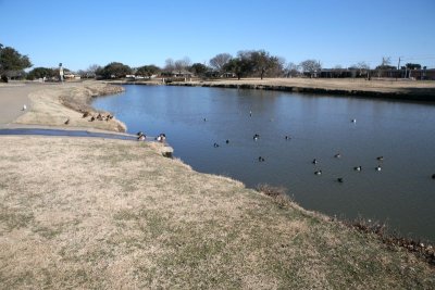 IMG_0085.jpg