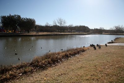 IMG_0089.jpg