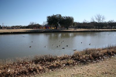 IMG_0093.jpg