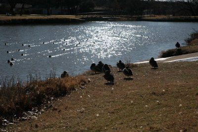 IMG_0096.jpg