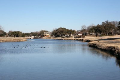 IMG_0100.jpg