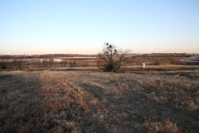 IMG_0009a.jpg