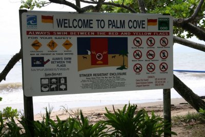 palm cove