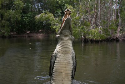 hartley's crocodile