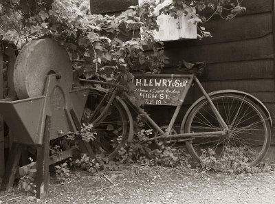 Abandoned Bicycle