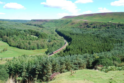 Steam Train!