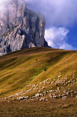 Postcards From The  Dolomites ( Italian Alps )