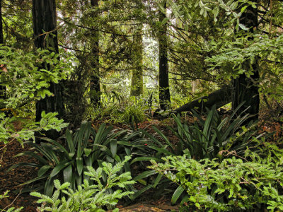 Los Angeles Arboretum