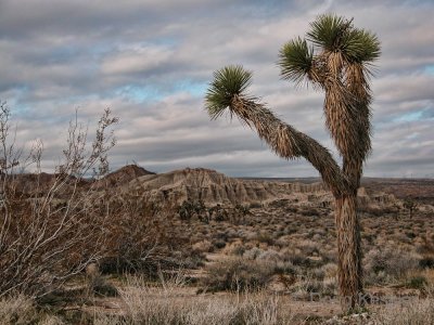 Red Rock Canyon State Park, California