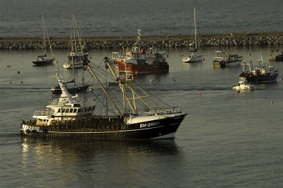 large trawler returning to port