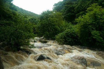 torrent. on the Lynn