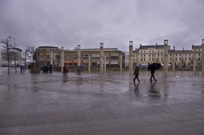 Downpour in the Bay