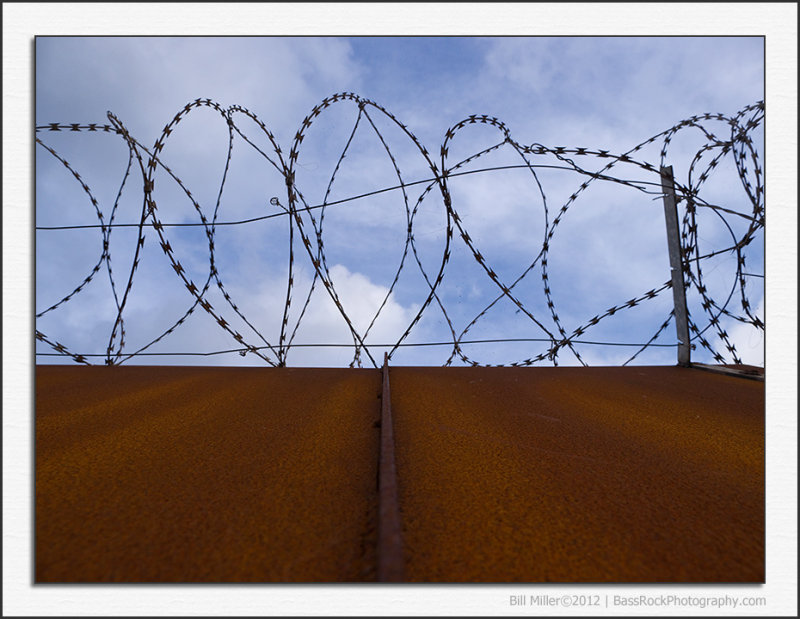 Razor Wire