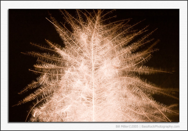 Feather