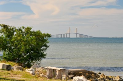 VS08 (047) Tampa Skywaybridge