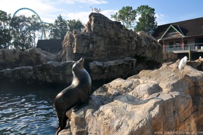 VS08 (057) Seaworld