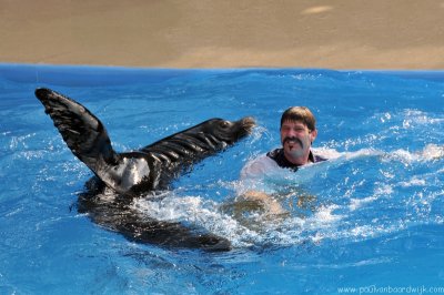 VS08 (063) Seaworld