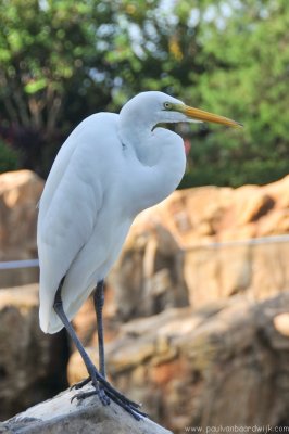 VS08 (065) Seaworld