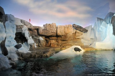 VS08 (084) Seaworld