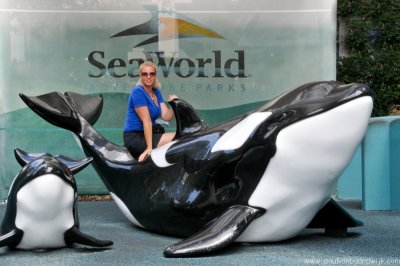 VS08 (086) Seaworld