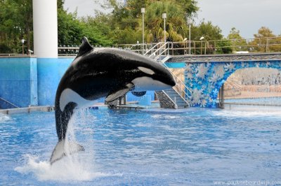 VS08 (090) Seaworld